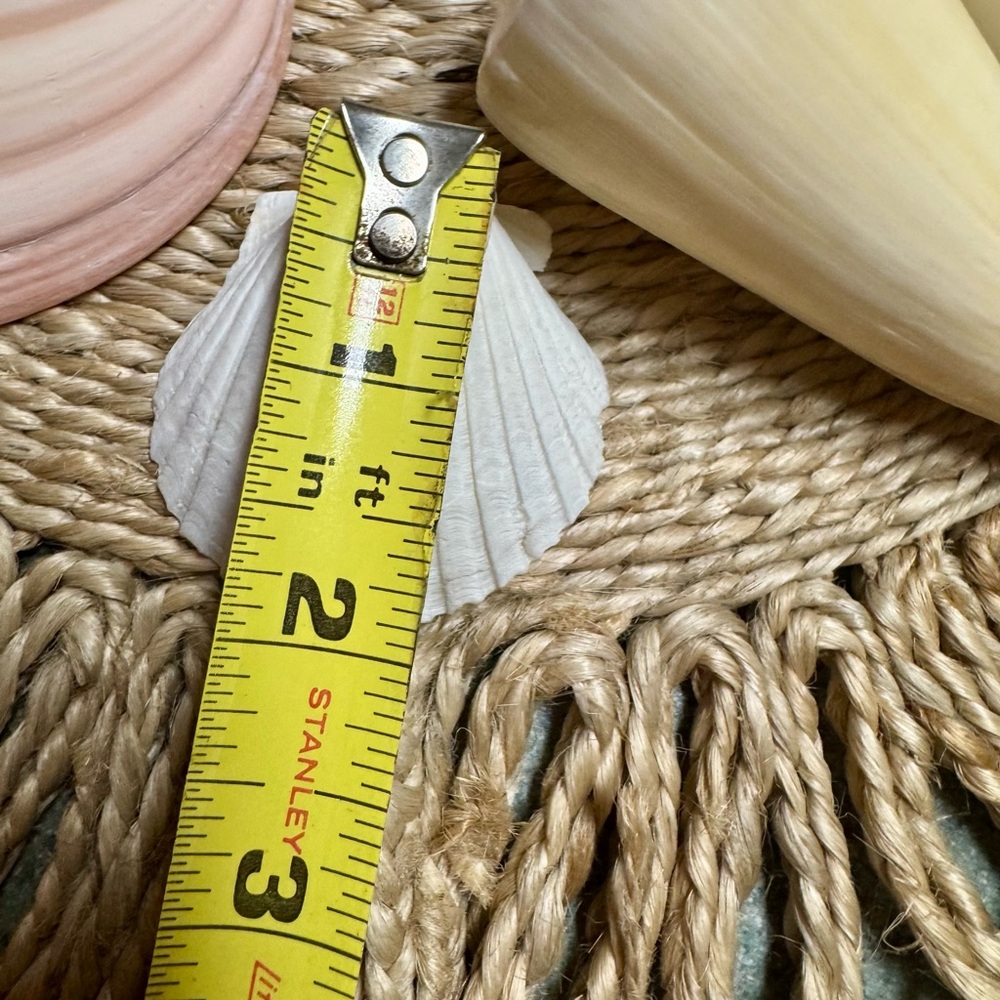 Assorted Authentic Seashell Collection - Picture 6 of 6